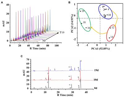 Screening of Key Fungal Strains in the Fermentation Process of the Chinese Medicinal Preparation “Lianzhifan Solution” Based on Metabolic Profiling and High-Throughput Sequencing Technology